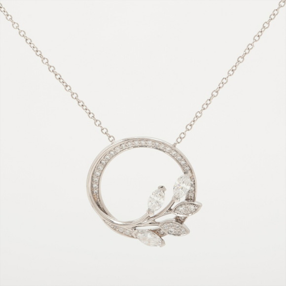 Tiffany Victoria Vine Circle Small Diamond Necklace Platinum